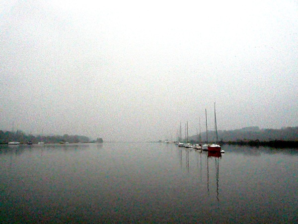 110201i.jpg