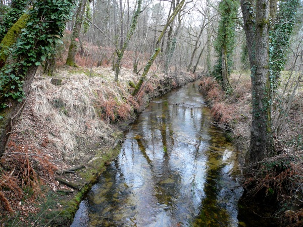 landes riviere.JPG