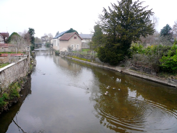 cher riviere.JPG