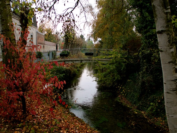 cure riviere.JPG