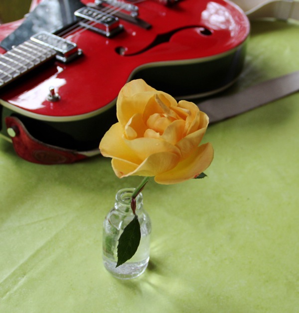 111208-rose.jpg