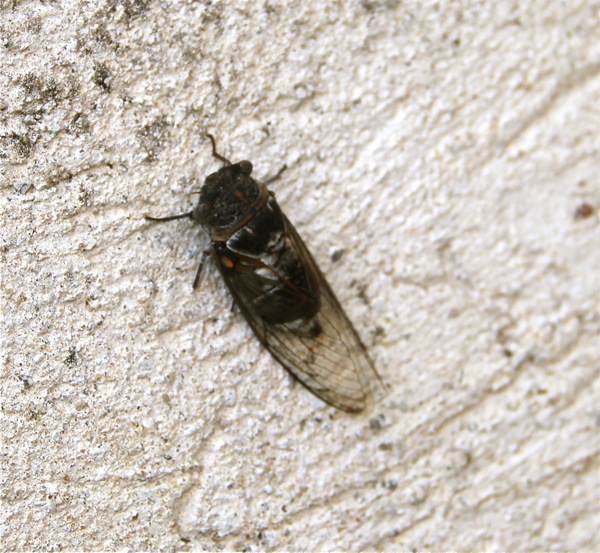 130718f.jpg