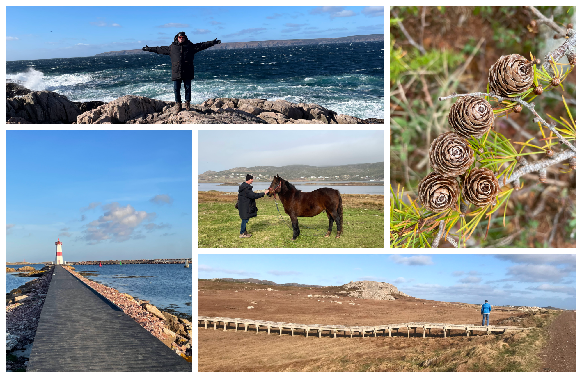 collage-nature.png