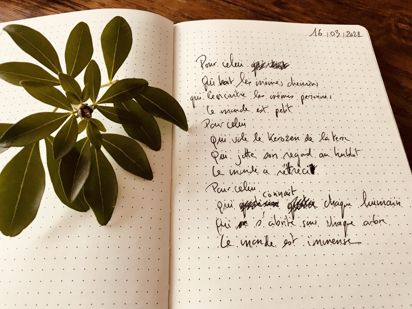 LE MONDE